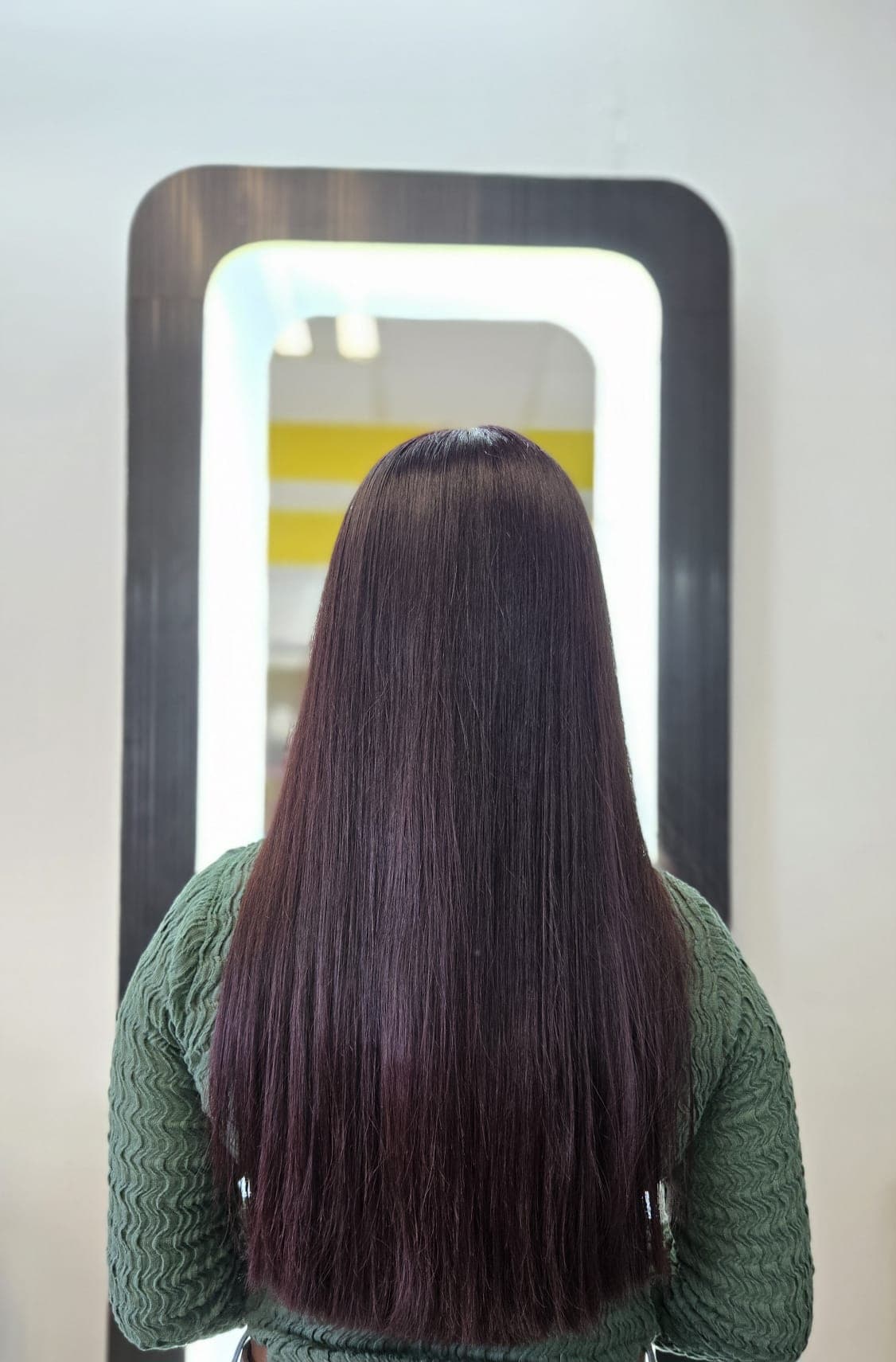 Planchado Profesional